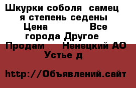 Шкурки соболя (самец) 1-я степень седены › Цена ­ 12 000 - Все города Другое » Продам   . Ненецкий АО,Устье д.